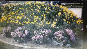 Bridge Farm Guesthouse rooms