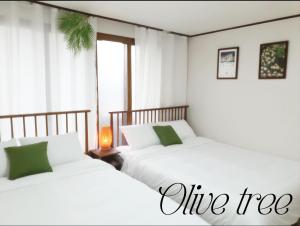 청량리역 넓은투룸 스테이올리브트리