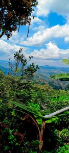 Adisham village agro garden villa