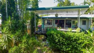 Urban Jungle Townhouse - Tropical Living