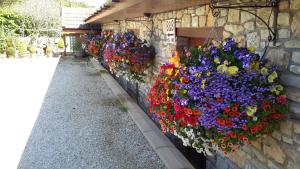 Bridge Farm Guesthouse rooms