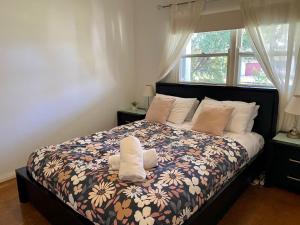 Nautilus in North Bendalong