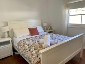 Nautilus in North Bendalong