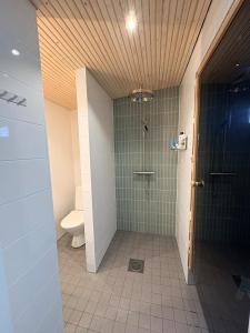 Charming guesthouse with sauna in Helsinki