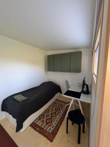 Charming guesthouse with sauna in Helsinki