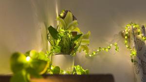 Swarga Fireflies Ranger