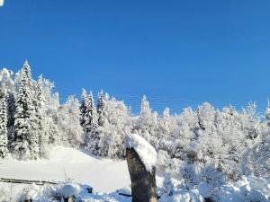 Apartment in Neukirchen with a balcony