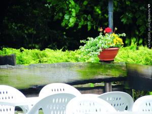 Berghotel Brockenblick