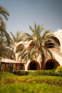 Seliyaa Siwa Inn Hotel