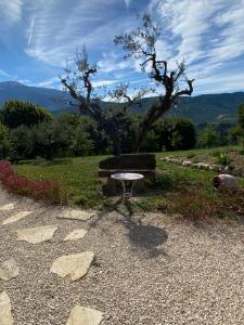 Chambre une fenêtre sur le Ventoux la Clue