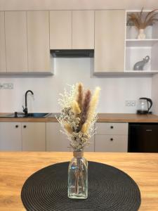 Apartament pod lasem 2 - przy szlaku na Turbacz, w pobliżu wyciągów narciarskich