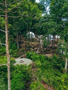Matahom Forest Glamping Tent 2