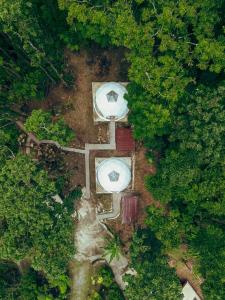 Matahom Forest Glamping Tent 2