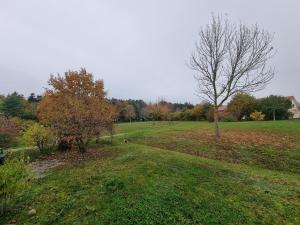 Feriendorf Rugana - Komfort 1-Raum Ferienwohnung mit Terrasse C11