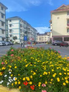 Dheaas Homestay Cameron Highlands