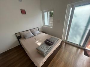 Fluffy Tails Auroville Stay Humblepie