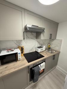 Peaceful Basement Hideaway - 1BR Retreat