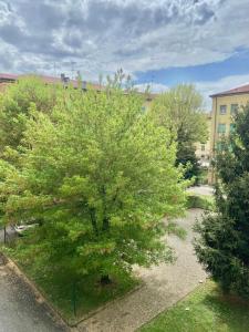 Green House - Manerbio