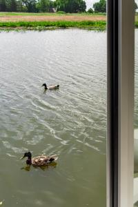 Urlauberschiff Störtebeker