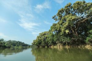 DJ River Meadows Resort