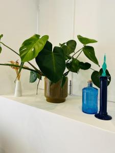 Casa Eliz Modern Comfort in the center of Faro