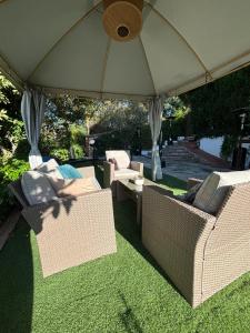 Spirit of Queen experience