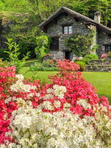 Chalet La Baita