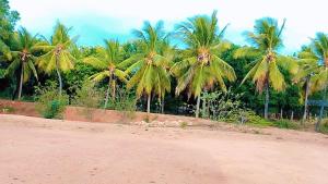 Dambulla Cashew Garden Villa