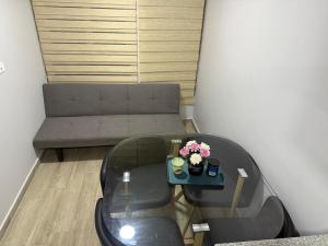 Movistar Arena - Ohiggins Park - Parking