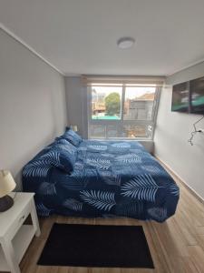 Movistar Arena - Ohiggins Park - Parking