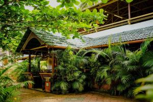 Misty Night Wayanad Pool Resort