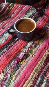 Aswan felucca sailing boat