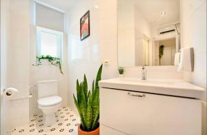 Cozy Studio on Calea Victoriei