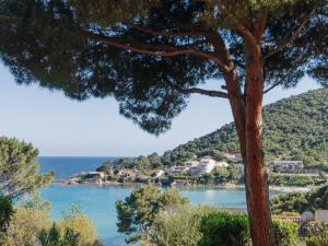 Apartment Le Télémaque 2 pièces Mezzanine by Interhome