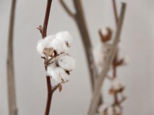 Apartment La Siala Apt-30 by Interhome