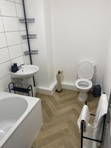 Comfortable Norton Studio