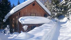 Knödl-Alm Waldhäusl - 4hvězdičkové hotely ve městě Bad Mitterndorf