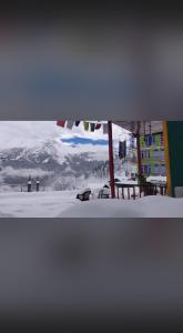 IRIS cozy stay and cafe