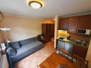 Aparthotel Rosa - apartma 204 