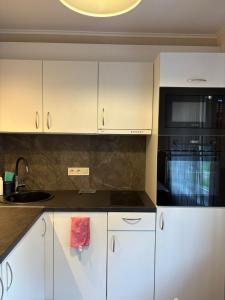 Cat Garden Classic Apartments Riga