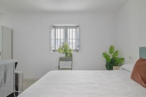 Almazen Alojamiento Rural