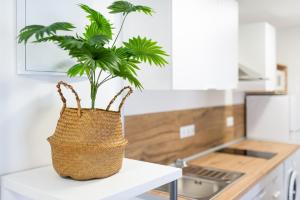 Apartamento céntrico en Santa Lucía