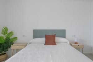 Almazen Alojamiento Rural