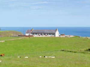 Pennan Lodge - 26818