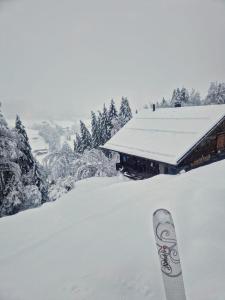 Chalet La Frassonayaz