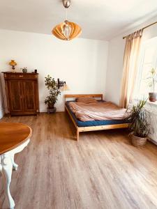 Charmantes Einzimmer-Apartment in zentraler Lage