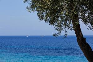 Anassa Mare Villas & Residences Paxoi Greece