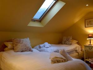 Fennel Folly - Uk32608