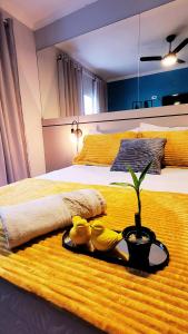 Estúdio completo próximo da Universidade WiFi