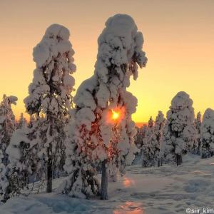 A cozy Scandinavian condo in the city center